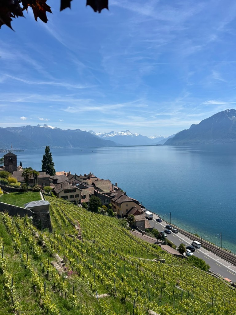 Lavaux