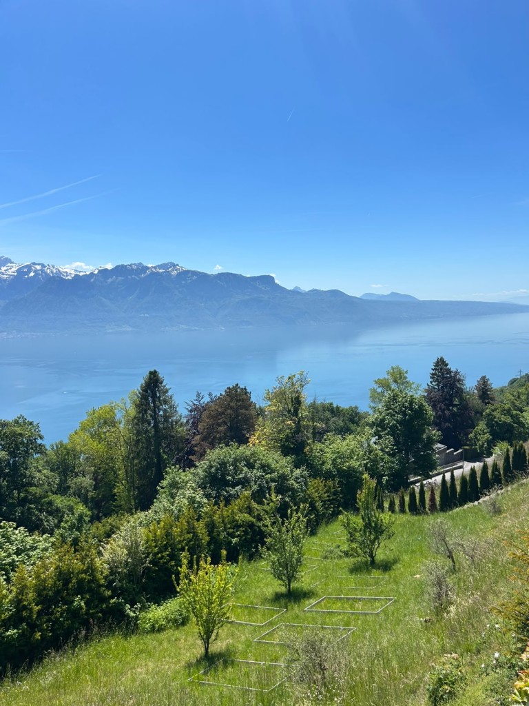 El Mirador